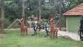/album/mango-mist-resort-with-colleagues/dsc-0232-large-medium-jpg/